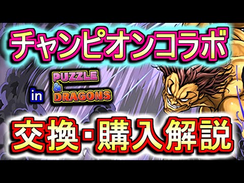 【迷っている方へ】チャンピオンオールスターズコラボガチャキャラの交換・購入は必要か、徹底解説します。【パズドラ】