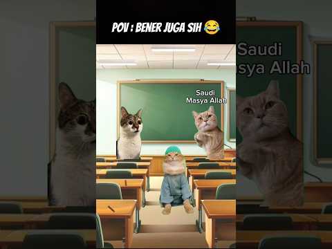 #cat #kucing #catvideos #funny #animation