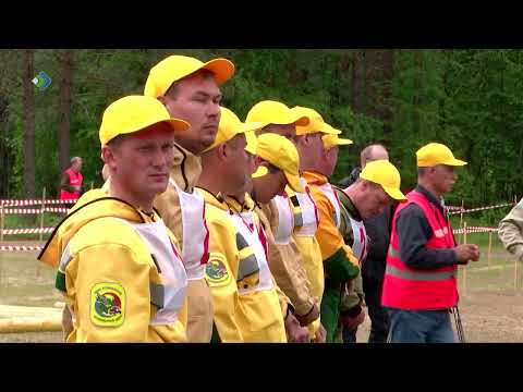 В Коми выбрали лучшего лесного пожарного 2022 года