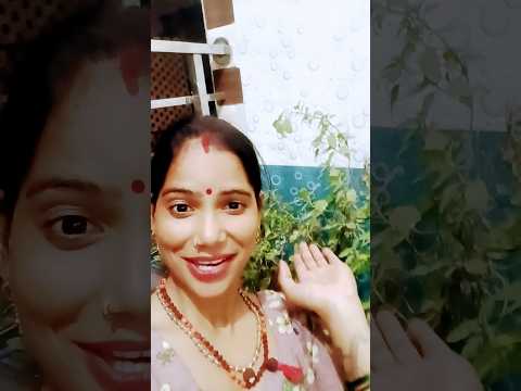 मंदिर में बैठे श्याम गमले में बैठी तू लिसा