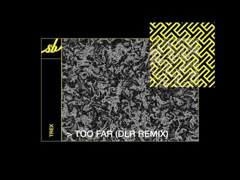 Trex - Too Far (DLR Remix)