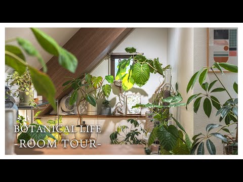 【ルームツアー】植物たちと暮らす|1LDK|賃貸|ROOM TOUR
