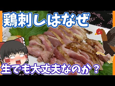 【ゆっくり解説】鶏刺しを食べても食中毒になりにくい理由とは?【あけましておめでとうございます】