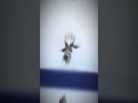 chuan bi #shorts#mechoiplayy#playtogether#trend#xuhướng#vairalshorts#vairal