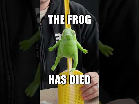 Break This Splat Frog For $$$$