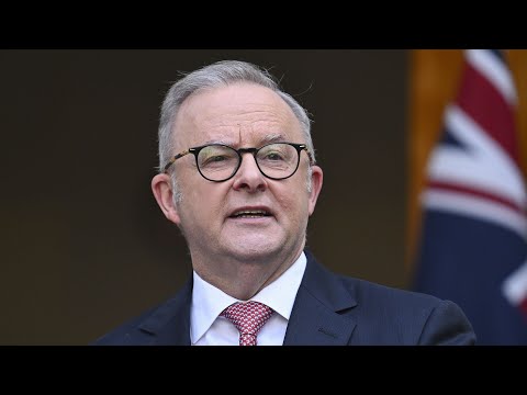 'Whose side is Albanese on?': Labor blasted for ‘half-in, half-out’ Middle East stance