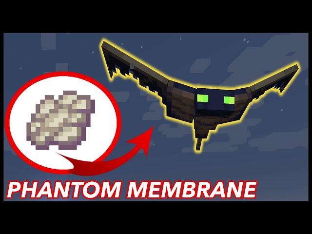 What To Do With Phantom Membrane To Get Ideas