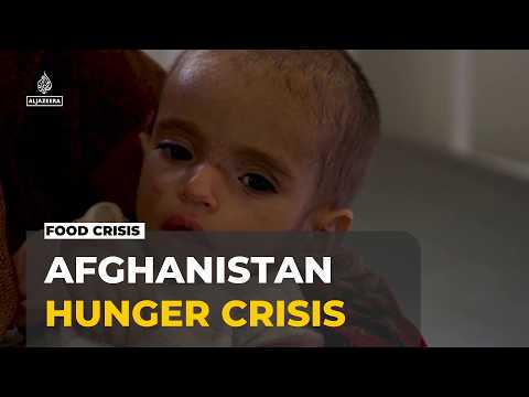 Afghanistan malnutrition: UN warns 3.7 million children are at risk