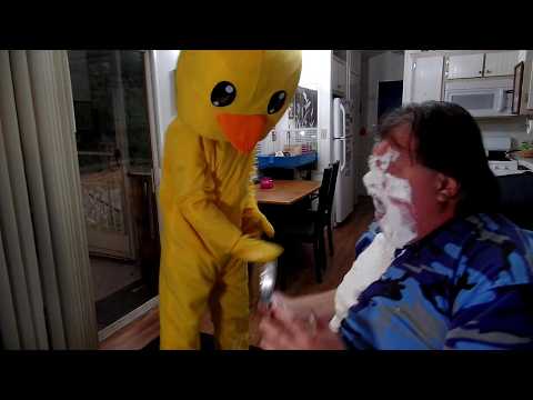 Pie In The Face