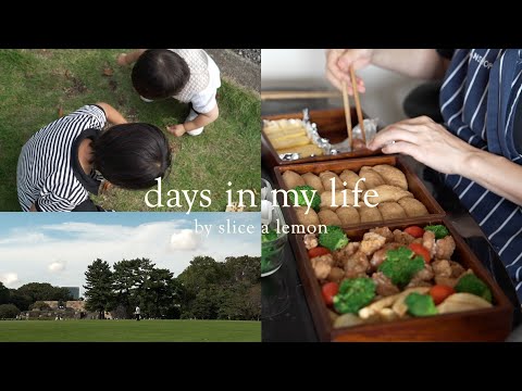 お弁当作り/4人家族最後のピクニック/妊娠9ヶ月/料理vlog