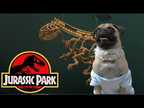 Jurassic Park (Cute Pug Puppy Edition) - UCPIvT-zcQl2H0vabdXJGcpg