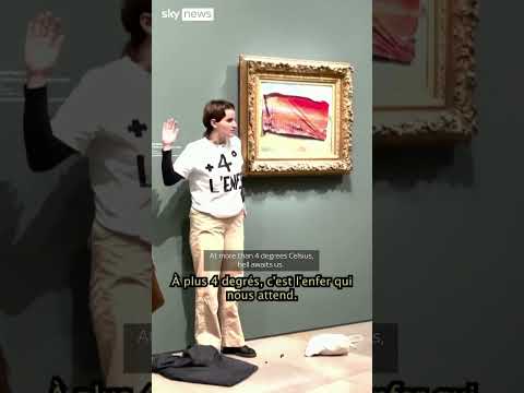 Climate activist defaces Monet painting