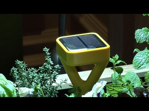 Edyn's garden sensor strives for perfection - UCOmcA3f_RrH6b9NmcNa4tdg