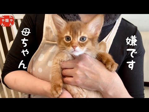 とうとう❣️あの日がやって来た
