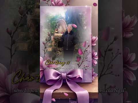 Chào Tháng 11 Tháng Của Yêu Thương Và Cầu Nguyện #caunguyen #chuagiesu #shortvideo #short