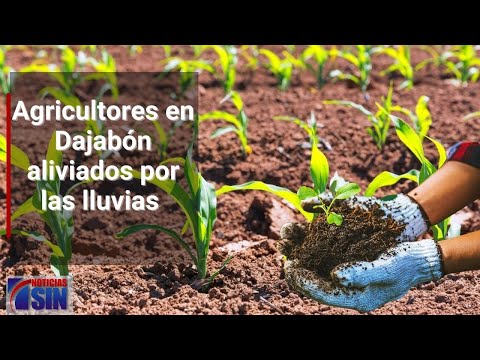 Cultivadores dicen estaban siendo afectados por sequías