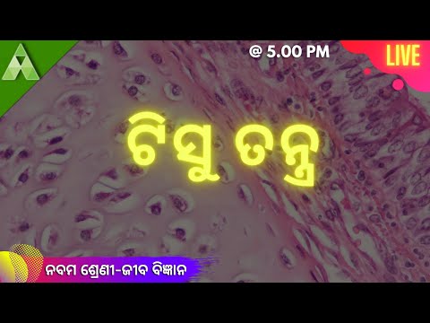 ଟିସୁ ତନ୍ତ୍ର | Life Science । Live Quiz । Class 9 Aveti Learning