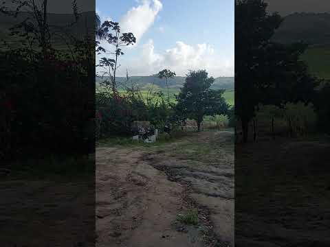 Bom dia gente🫡😊