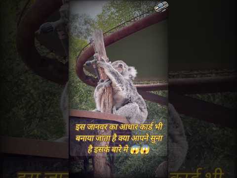 एक ऐसा जानवर जिसका आधार कार्ड भी बनाया जा सकता है 😱😱 😱#short #shorts #shortsfeed #shortvideo