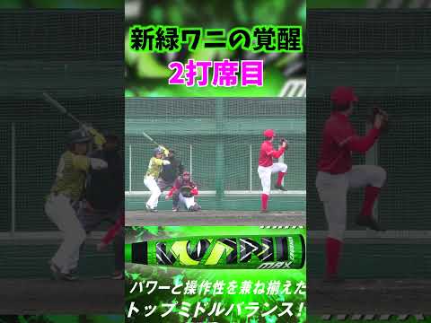 新バット