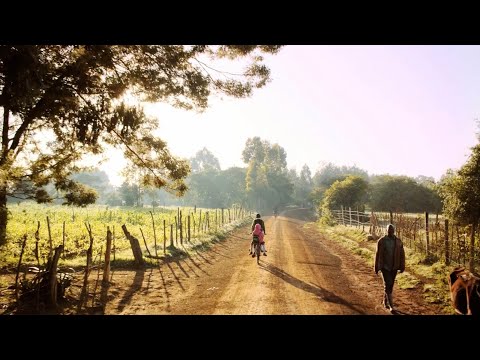 DT Swiss |  Charity project: The power of the bicycle (4): Racing the sun