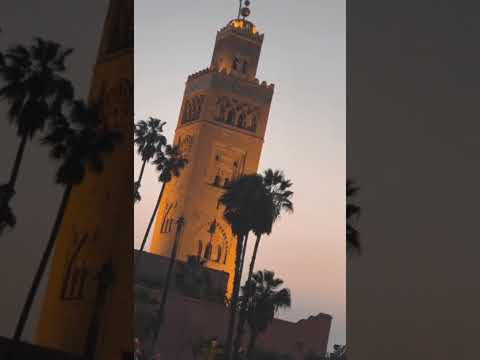 Marrakech Moments ✨ | Exploring the Red City #marrakech #travel #travelshorts