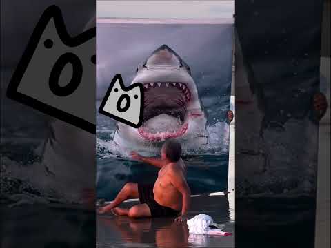 RANKING <strong>THE</strong> <strong>BEST</strong> SHARK MOMENTS