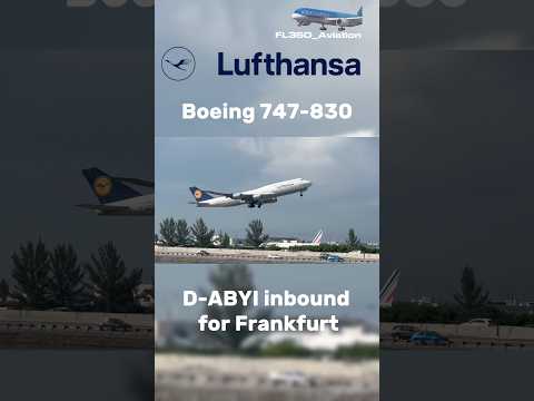 747 lifting off from Miami😏 #shorts #fyp #viral #aviation #avgeek