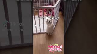 KEPALA NYANGKUT #shorts