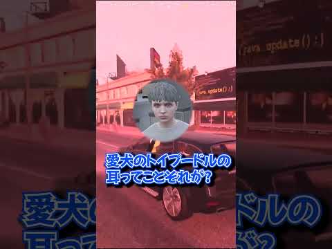 【ストグラ】 心温まるエピソードがナツメの解釈でたじろぐ空とぷちおww【空衣御侍/なつめ先生/TUTTI/土田ぷちお】【グラセフ】