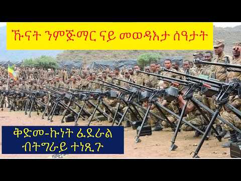 #ጌጋ ገምጋም ብልጽግና ኣብ ልዕሊ ጅግና ሰራዊት ትግራይ #ሰራዊት ፈደራል ኣብ ዶባት ትግራይ ኣዕለቕሊቑ #lbonatv #eritreanews #tigraynews