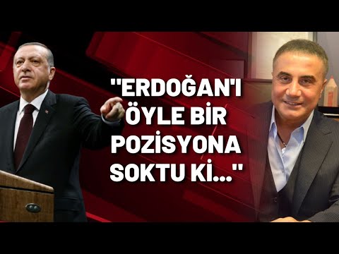 Salim Şen: Sedat Peker Erdoğan'ı öyle bir pozisyona soktu ki...