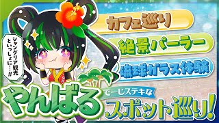 【沖縄・やんばる】やんばるでカフェ・体験巡り！！！【ジャングリア周辺スポット】