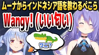 ムーナから新しいインドネシア語を教わるも微妙に伝わってないぺこーら【ホロライブID切り抜き/兎田ぺこら/ムーナ・ホシノヴァ/日本語翻訳】