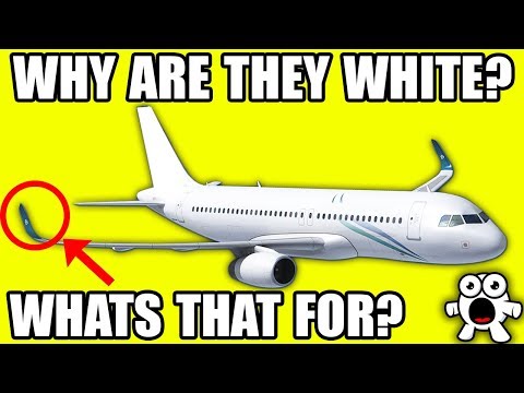 Why Aircraft Are Designed The Way They Are - UCkQO3QsgTpNTsOw6ujimT5Q