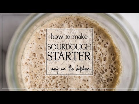 How to make a Sourdough Starter - UCX2_m8l1EXZo7SoFfaSwDbw