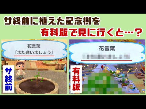 「ポケ森」サ終前に植えた記念樹を有料版で見に行くと……感動的すぎる演出が…！「ポケ森コンプリート」に隠れた細かすぎる小ネタ集！【どうぶつの森 ポケットキャンプ コンプリート】@レウンGameTV