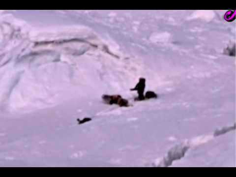Terror en el Huascarán: tres turistas fueron alcanzados por una avalancha