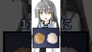 【ショート虚言】食欲改善ライス #shorts #vtuber