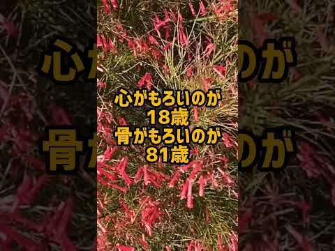 #シニアライフ #shorts#70代 #ルーティン