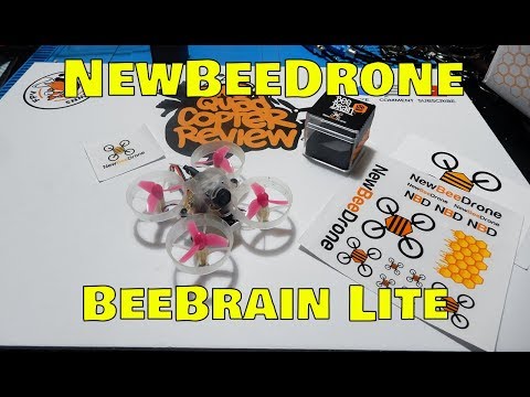 BeeBrain Lite by NewBeeDrone - Review | Build | Flight Test - UC47hngH_PCg0vTn3WpZPdtg
