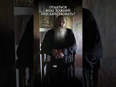 - как поступить, действовать или отдаться воле Божией?#протоиерейсергийбаранов