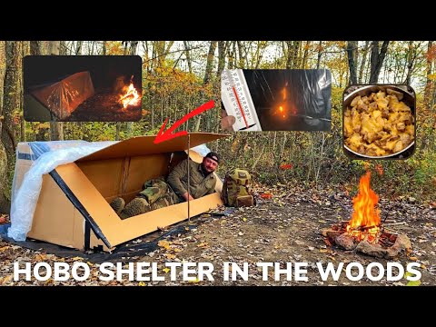 Solo Overnight Building a Carboard Shelter In The Woods and Hobo Stew