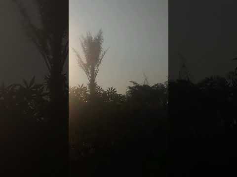 Cerita Senja.....