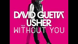 David Guetta feat. Usher - Without You (Cookis Remix) Prev.