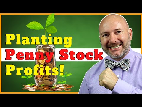 5 Disruptive Penny Stocks Changing Lives