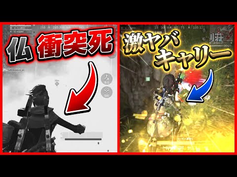 【荒野行動】木で衝突死する仏とガチキャリーの人参