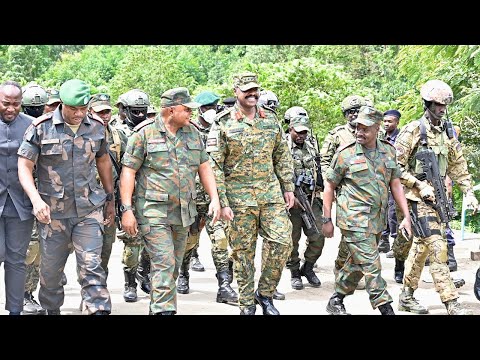 14/07/25 FARDC ET UPDF TSHISEKEDI-MUSEVENI LA BLAGUE EN RDC BENI ADF TUE 73 CONGOLAIS
