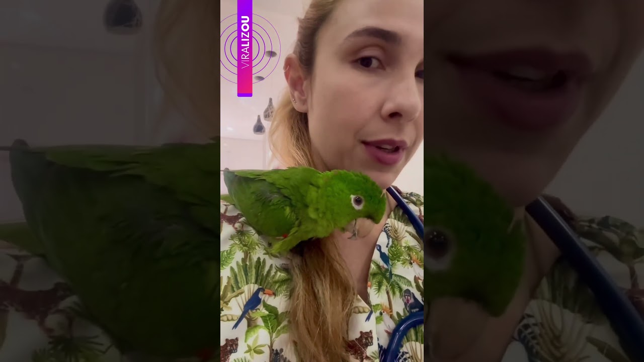 Maritaca sobe no ombro de veterinária e desabafa durante consulta | g1 shorts