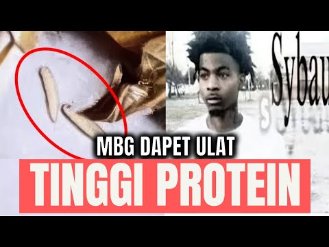 makanan bergizi kicau mania 🤙